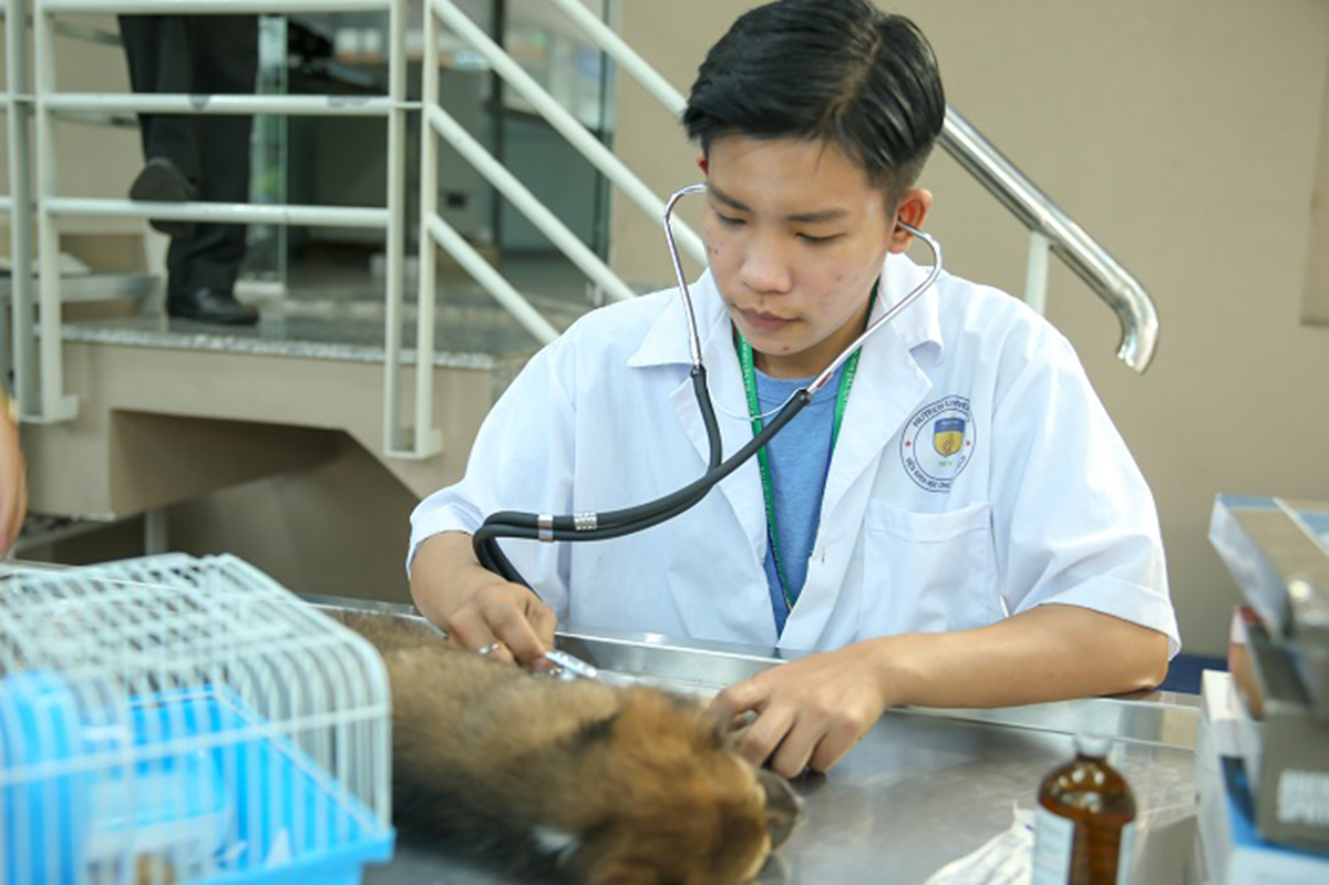 Thú y là một trong những nghề có nhiều cơ hội việc làm nhất hiện nay.