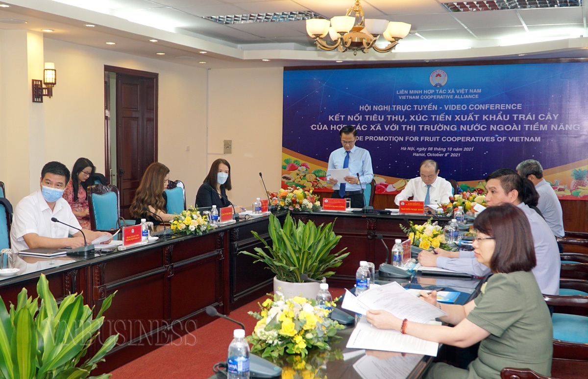 Liên minh HTX Việt Nam cho biết, nhiều HTX trồng trái cây đã đáp ứng các tiêu chuẩn khắt khe của các thị trường lớn trên thế giới.