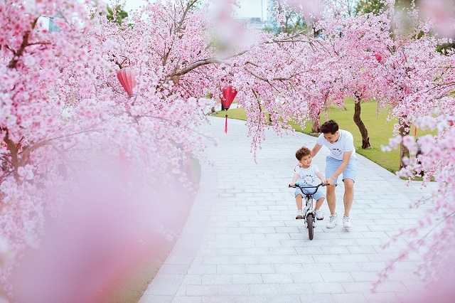 Công viên Nhật Bản – Zen Park chính là một trong những lý do quan trọng khiến người Nhật quyết định sinh sống tại Vinhomes Smart City.