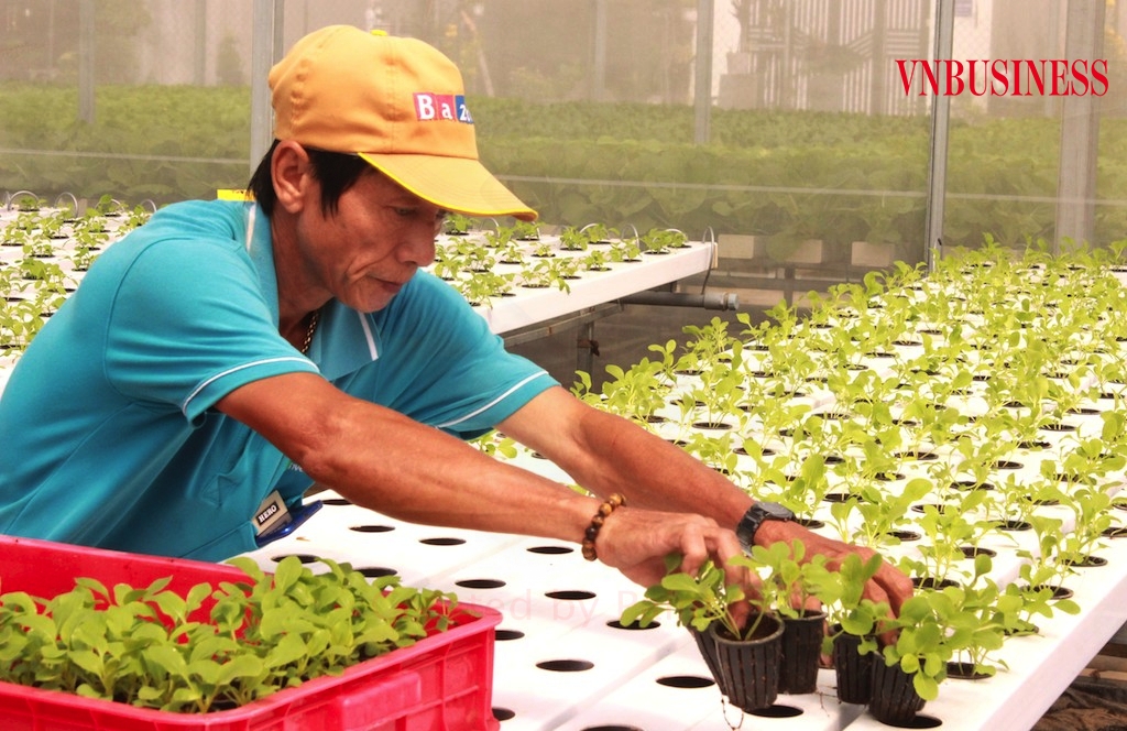 Chúng ta đang có nhiều doanh nhân hơn thế nếu nhìn từ khu vực kinh tế HTX và những nông dân trong thời kỳ công nghiệp hóa, thời kỳ hội nhập của kinh tế thị trường.