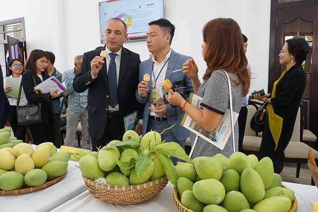 Nhờ bảo đảm chất lượng, xoài Đồng Tháp được nhiều doanh nghiệp nước ngoài quan tâm.