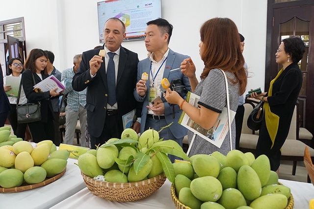 Nhờ bảo đảm chất lượng, xoài Đồng Tháp được nhiều doanh nghiệp nước ngoài quan tâm.