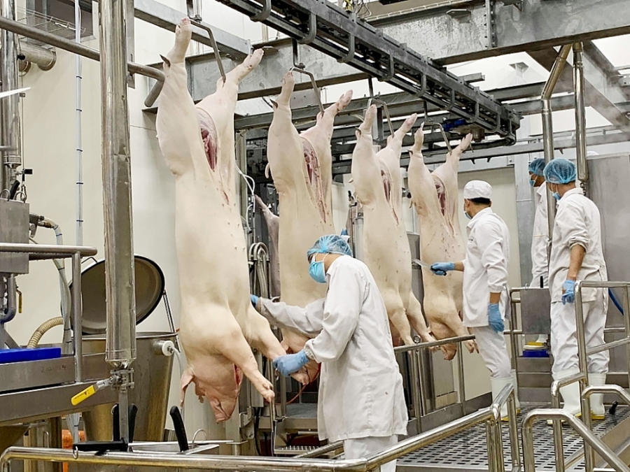 Hội Chăn nuôi Việt Nam kiến nghị Thủ tướng chỉ đạo Bộ NN&PTNT phối hợp với Bộ Công Thương kiểm soát chặt vấn đề nhập khẩu các sản phẩm chăn nuôi