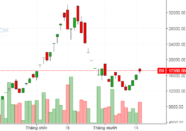 Cổ phiếu BII của Louis Land tăng sốc, giảm sốc.