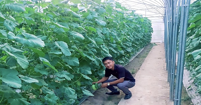 Từ mô hình nông nghiệp hữu cơ của HTX đã thay đổi nhận thức của bà con nông dân về bảo vệ môi trường sinh thái.