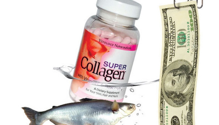 Collagen có thể được chế biến từ da cá tra.