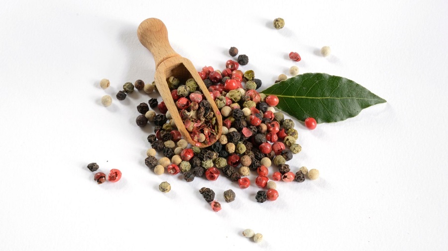 Chỉ còn khoảng hơn 3 tháng nữa là tiêu bước vào vụ thu hoạch mới, người nông dân rất mong giá tiêu sẽ tăng để giảm bớt khó khăn.