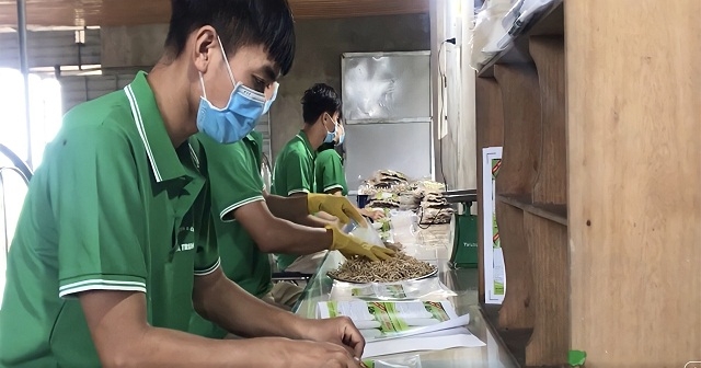 Công nhân của HTX tuân thủ nghiêm quy trình từ sơ chế đến đóng gói củ cải sấy.