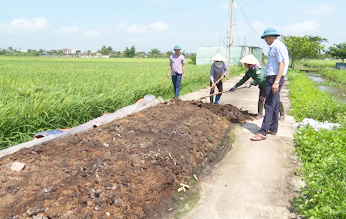 Sản xuất bền vững là nền tảng giúp xã Thanh Tân xây dựng nông thôn mới bền vững.