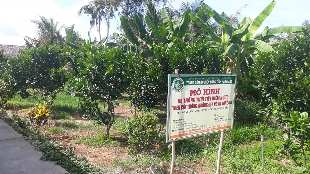 Mô hình trồng bưởi của HTX Tiến Nông nhận được sự hỗ trợ của ngành nông nghiệp địa phương nhằm xây dựng hiệu quả chuỗi bưởi da xanh an toàn.