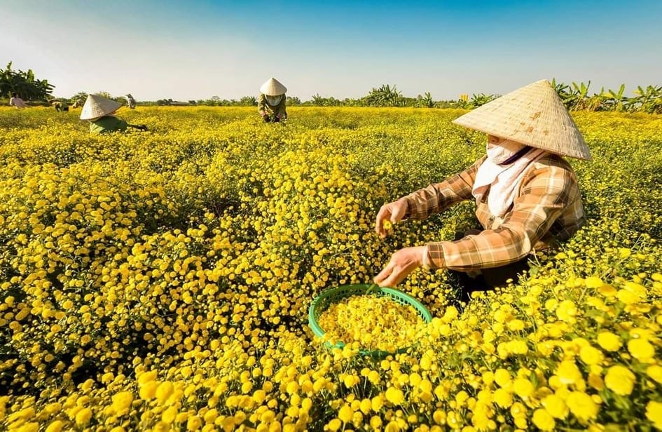 HTX đang hỗ trợ tam nông phát triển thông qua xây dựng các mô hình sản xuất hiệu quả, bền vững.