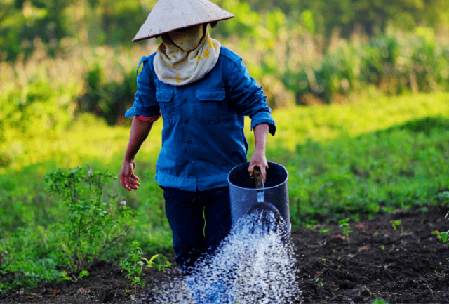Gỡ khó các chính sách về đất đai, xúc tiến thương mại, đào tạo nguồn nhân lực, chuyển đổi số... sẽ tạo đà cho HTX phát triển.