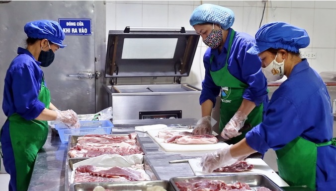 HTX chăn nuôi Hoàng Long chưa dám đẩy mạnh việc tái đàn để phục vụ thị trường Tết Nguyên đán vì lo ngại về thị trường đầu ra.