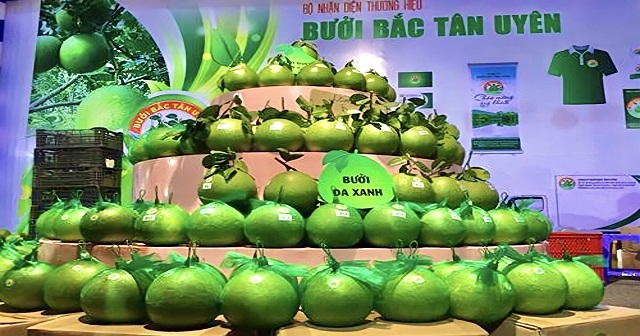 Cam - Bưởi Bắc Tân Uyên được cấp giấy Chứng nhận Nhãn hiệu tập thể.