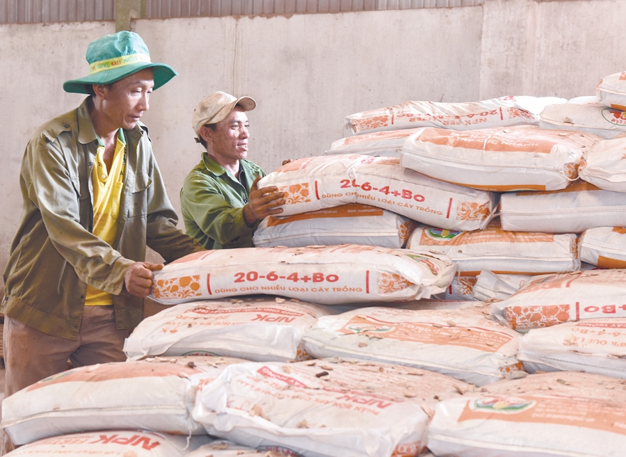Giá phân bón dự báo vẫn ở mức cao trong thời gian tới.