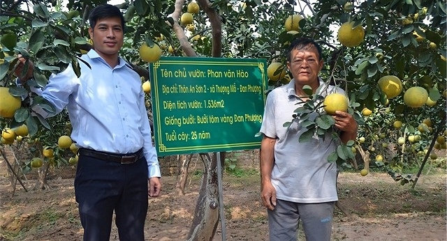 Đan Phượng nhân rộng các mô hình nông nghiệp hữu cơ gắn với công nghệ cao.