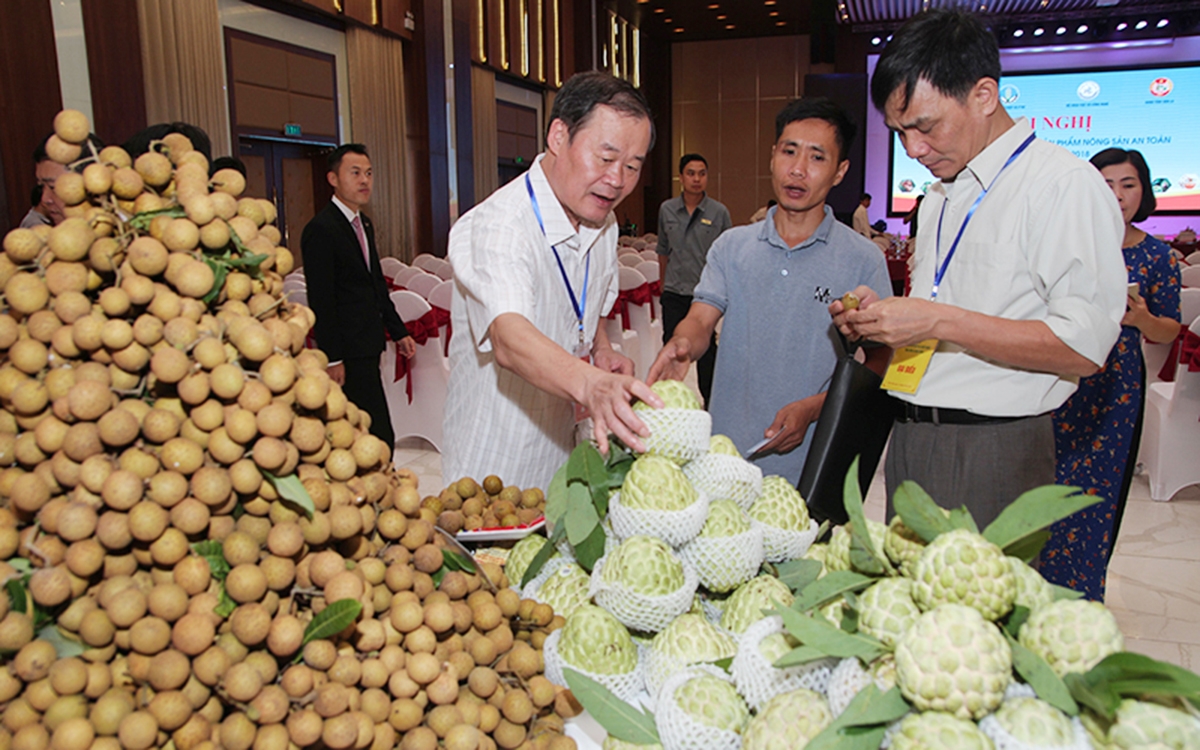Chế biến sâu là chìa khóa nâng cao giá trị sản xuất cho các HTX nông nghiệp. (Ảnh TL)