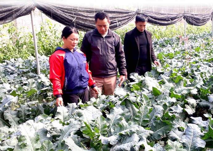 Áp dụng khoa học kỹ thuật giúp bảo đảm chất lượng nông sản trước khi cung cấp ra thị trường.