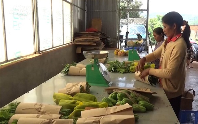 Lâm Đồng xác định tiếp tục đẩy mạnh chuyển đổi từ nền nông nghiệp hóa chất sang nền nông nghiệp hữu cơ.