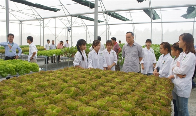 Nông nghiệp là một ngành đang thiếu nguồn lao động chất lượng cao.