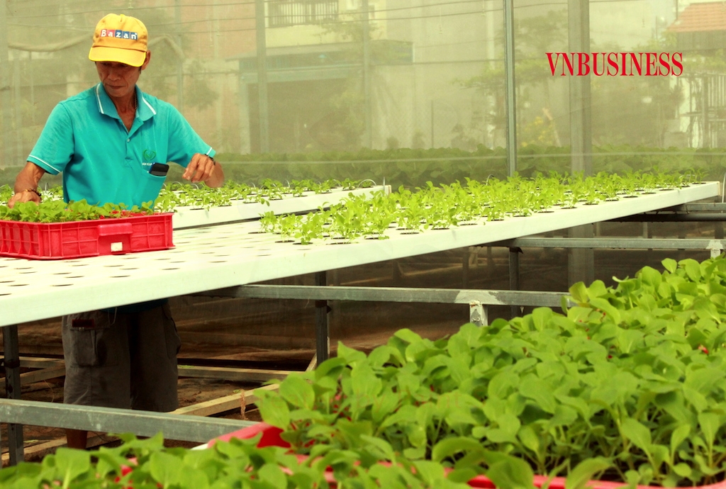 Người làm nông nghiệp sinh thái vẫn lo đơn độc trong việc tiếp cận với khoa học và công nghệ.