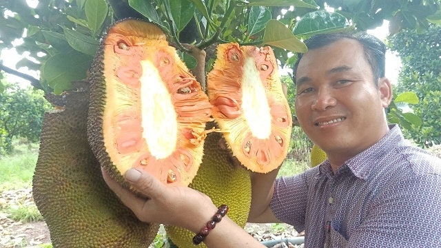 Chương trình OCOP đã giúp các sản phẩm của HTX có chỗ đứng trên thị trường.