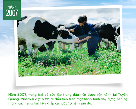 Xác định chủ động nguyên liệu sữa sẽ là chìa khóa để phát triển, ban lãnh đạo doanh nghiệp cũng bắt tay vào thực hiện chiến lược xây dựng nên những trang trại bò sữa tập trung với quy mô lớn và được định hướng theo các tiêu chuẩn của quốc tế.
