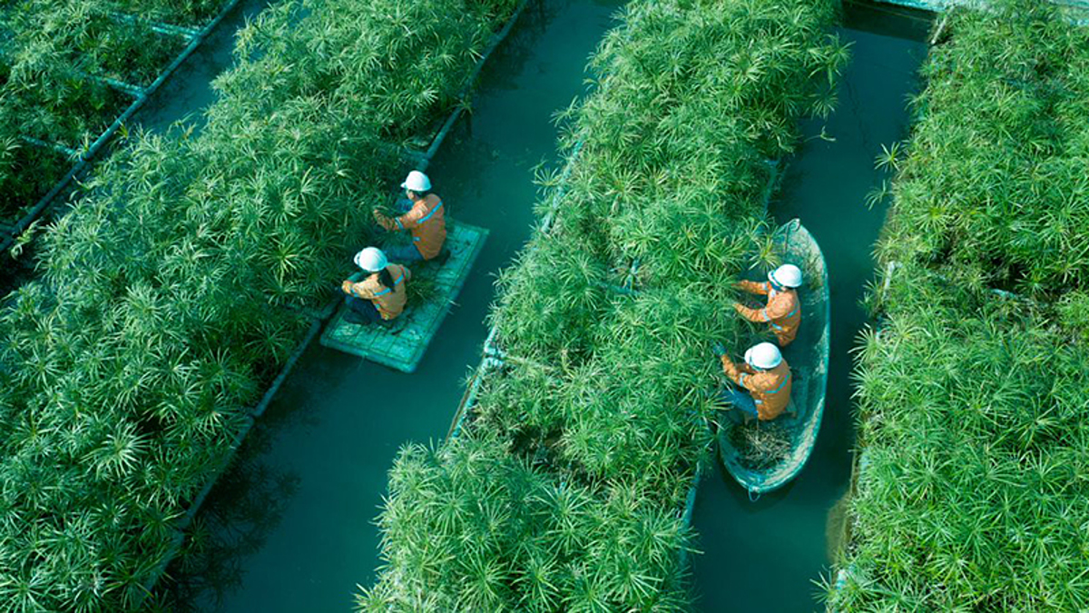 Nước thải của công ty TNHH Núi Páo.