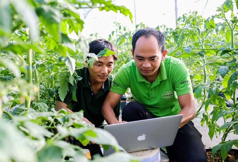 Các HTX tại Lâm Đồng đang dẫn đầu trong cuộc cách mạng làm nông nghiệp sạch, công nghệ cao. (Ảnh TL).