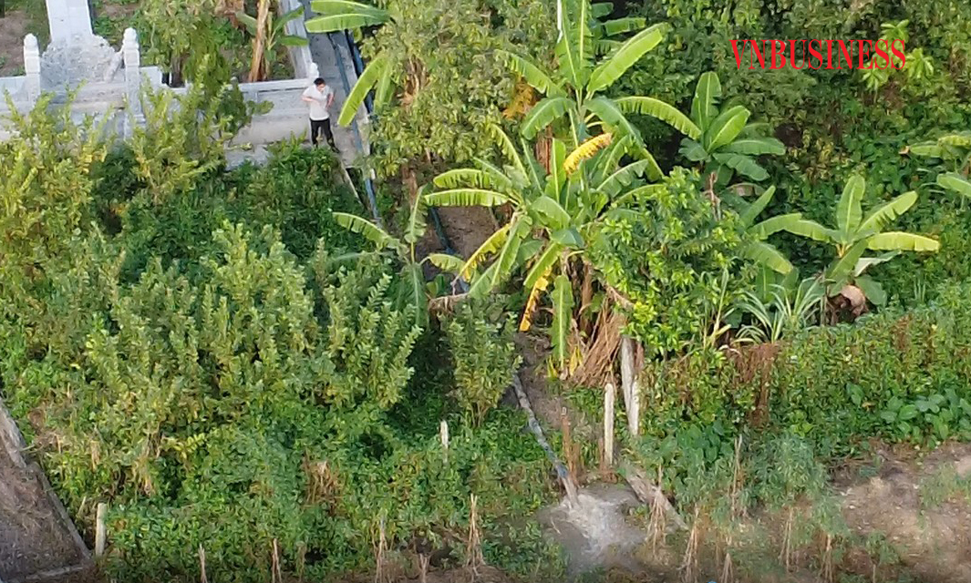 Đổ thải trực tiếp ra cánh đồng.