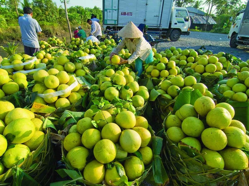 Người dân, HTX, doanh nghiệp vẫn khó tiếp cận nguồn tín dụng phục vụ phát triển nông nghiệp.