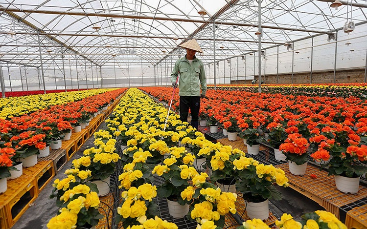 Tạo chính sách cởi mở trong tiếp cận nguồn vốn tín dụng sẽ thúc đẩy các mô hình nông nghiệp công nghệ cao, nông nghiêp sản xuất theo chuỗi giá trị phát triển.