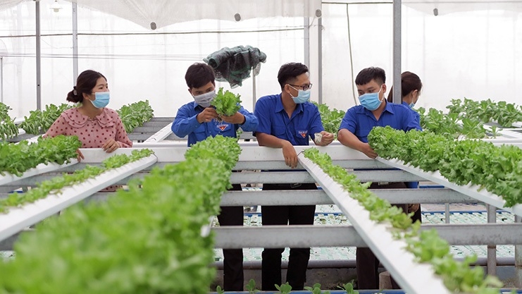 Các nông sản cần được chú trọng xây dựng thương hiệu để nâng cao giá trị trên thị trường.