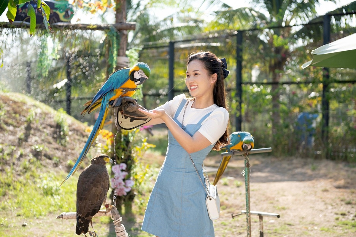 Du khách có nhiều hoạt động tại quần thể du lịch khép kín. Ảnh: FLC Zoo Safari Park Quy Nhon.