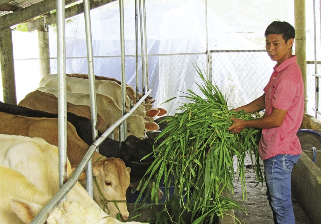 Nguyễn Văn Thảo là thuyền trưởng của HTX Thuận Thới, lan tỏa tích cực phong trào lập nghiệp tại quê hương.