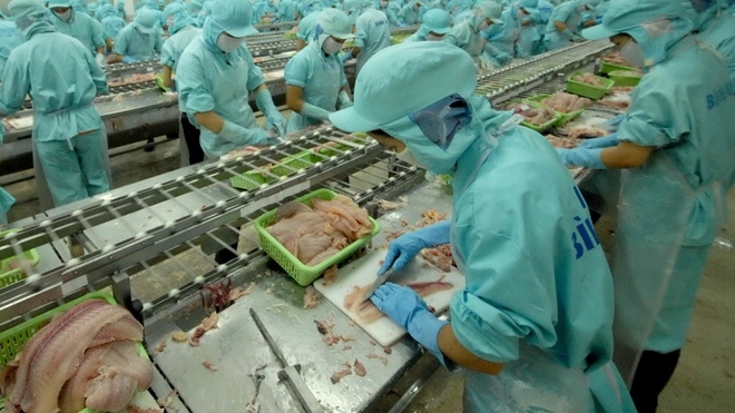 100% lô hàng thủy sản nhập khẩu phải kiểm dịch.