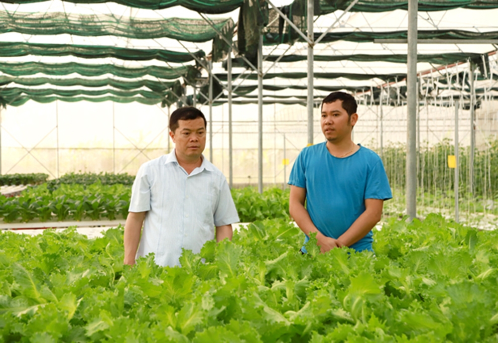 Nhiều HTX tích cực đầu tư cơ sở vật chất, đổi mới trang thiết bị, ứng dụng khoa học kỹ thuật vào sản xuất mang lại hiệu quả kép về kinh tế, môi trường sinh thái. (Ảnh TL).