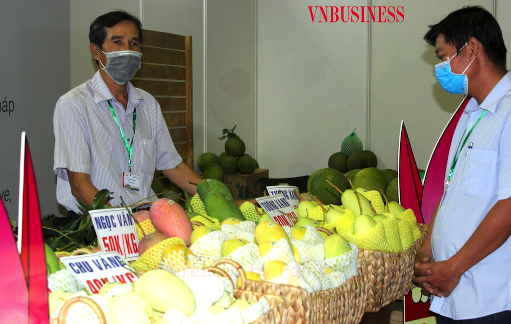 Liên kết đầu ra cho ngành hàng nông sản dưới thời Covid-19 đang đòi hỏi sự đồng điệu ở các địa phương.