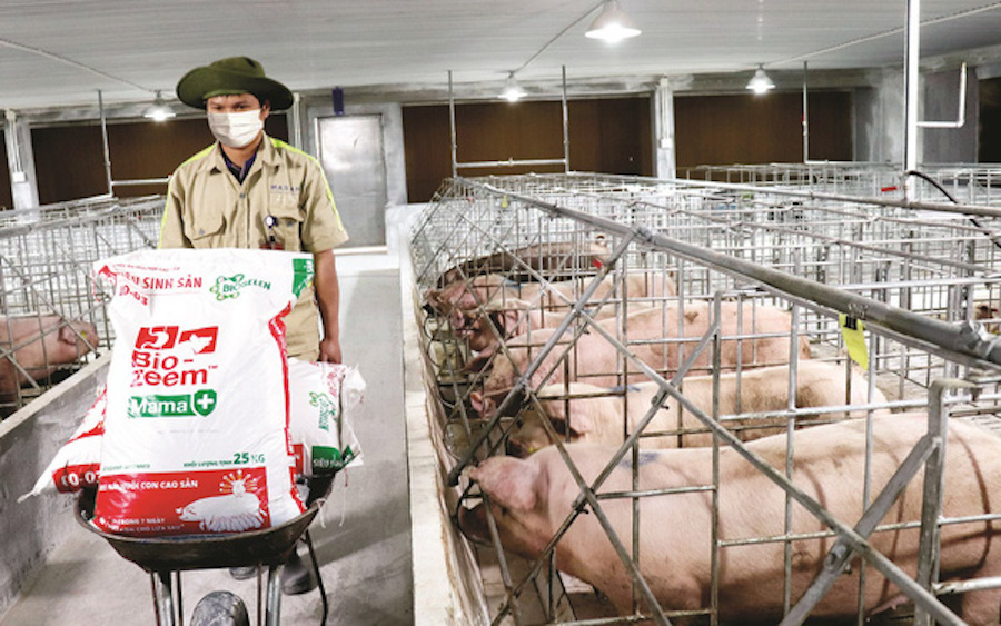 Thương vụ hợp tác giữa De Heus Việt Nam và Masan hâm nóng làn sóng mua bán và sáp nhập trong ngành nông nghiệp trong bối cảnh dịch COVID-19.