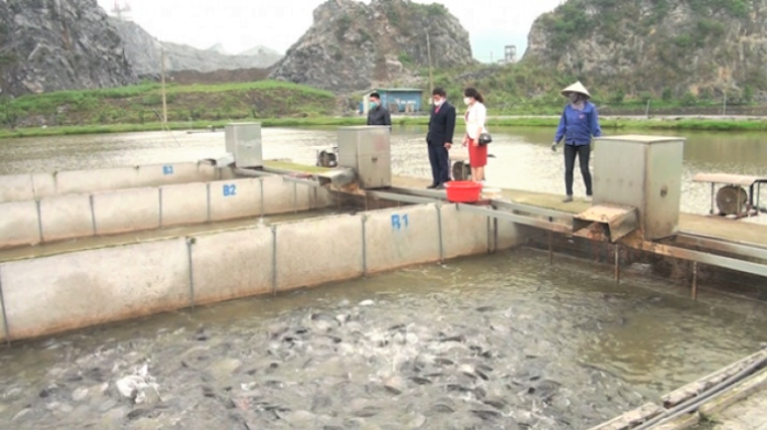 Tiềm năng để mở rộng đối tượng tham gia BHXH trên địa bàn tỉnh Hà Nam còn rất lớn, nhất là ở nhóm người lao động tự do, kinh doanh cá thể, nông dân, thành viên hợp tác xã (Ảnh: TL)