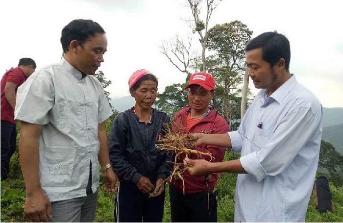 Người dân đã nâng cao ý thức sản xuất bền vững nhờ được các HTX hướng dẫn cách áp dụng khoa học kỹ thuật vào trồng dược liệu.