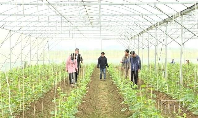 Người lao động trong khu vực kinh tế HTX là đối tượng tiềm năng để phát triển đối tượng tham gia BHXH và BHYT hộ gia đình (Ảnh: Int)