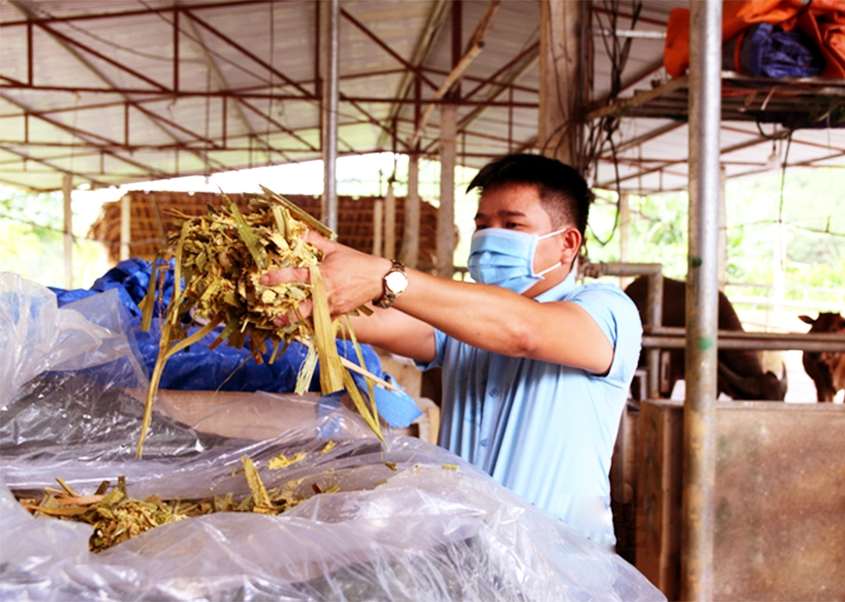 Liêm đang là Giám đốc HTX Thiện An, điểm tựa lập nghiệp của nhiều nông dân.