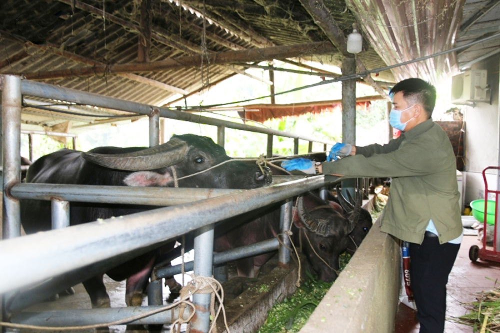 Hoàng Văn Liêm gây ấn tượng bằng câu chuyện khởi nghiệp tràn đầy cảm hứng.