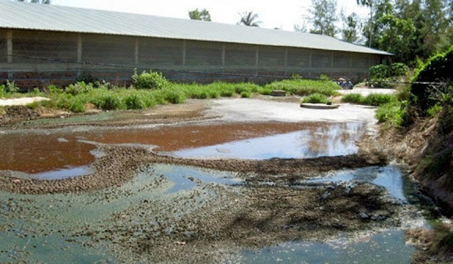 Hiện nay, nước thải và chất thải từ chăn nuôi đang làm nảy sinh rất nhiều vấn đề về chất lượng môi trường ở nhiều địa phương.
