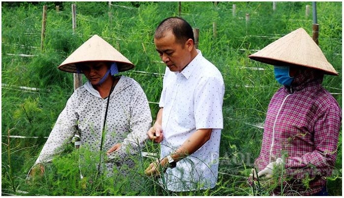 Nông dân và các thành viên, người lao động khu vực kinh tế hợp tác là đối tượng tiềm năng để vận động tham gia BHXH tự nguyện (Ảnh: TL)