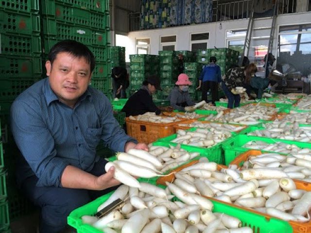 Sản phẩm được sản xuất theo tiêu chuẩn VietGAP vào được các siêu thị khó tính nhất ở TP.HCM (Ảnh: Int)