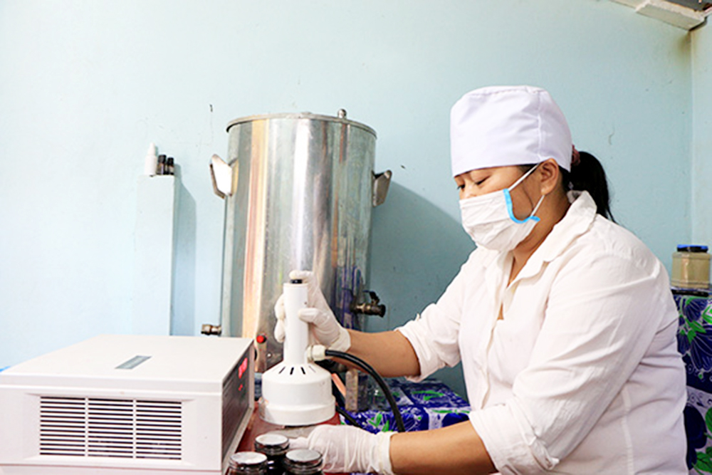 Hà Thị Thuận trải qua hơn 10 năm miệt mài với dược liệu quê hương.