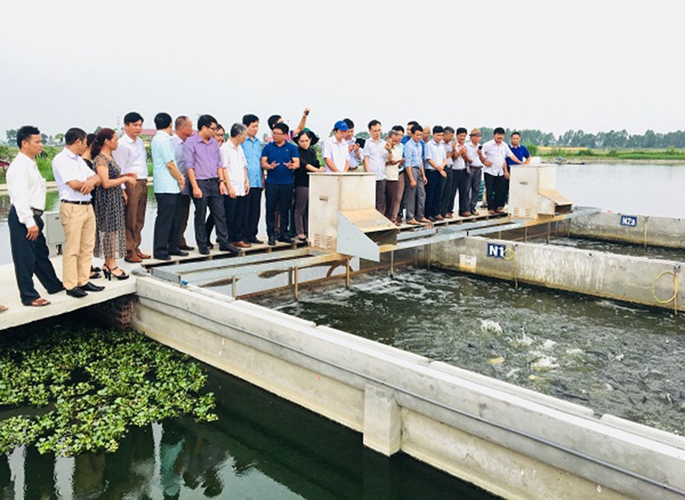 Các HTX đang khẳng định dấu ấn trong quá trình chuyển đổi cơ cấu nông nghiệp huyện Gia Lộc.