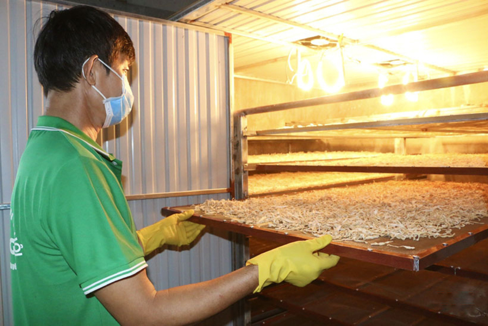 Sản xuất sạch, tăng chế biến giúp nông dân Cẩm Xuyên giảm nỗi lo được mùa mất giá (Ảnh BHT).